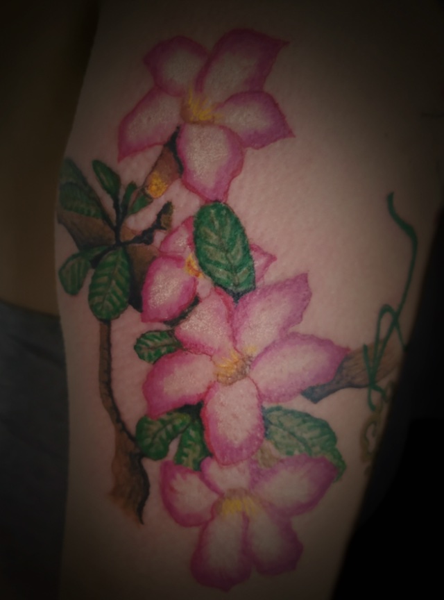 Tatuagem feminina delicada de flores rosas e brancas com folhas verdes em realismo e mini realismo, feita pelo tatuador feminino Cris Santos em Mogi das Cruzes e região. Design floral realista e personalizado.